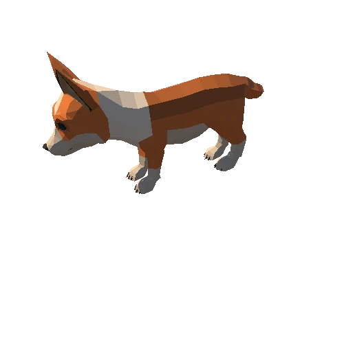 Fox Corgi 1